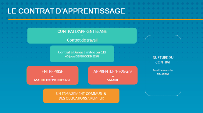 Schéma du contrat d’apprentissage (apprenti, entreprise, engagement commun)